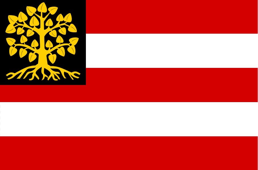 Den Bosch vlag
