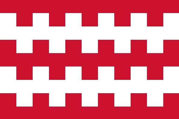 Dongen vlag