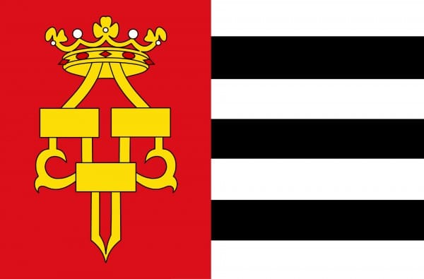 Drachten vlag