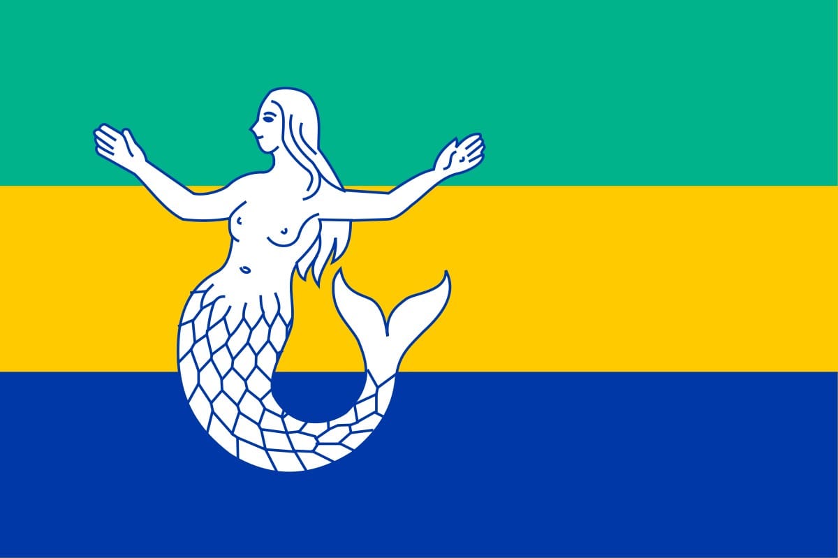 Eemsmond vlag