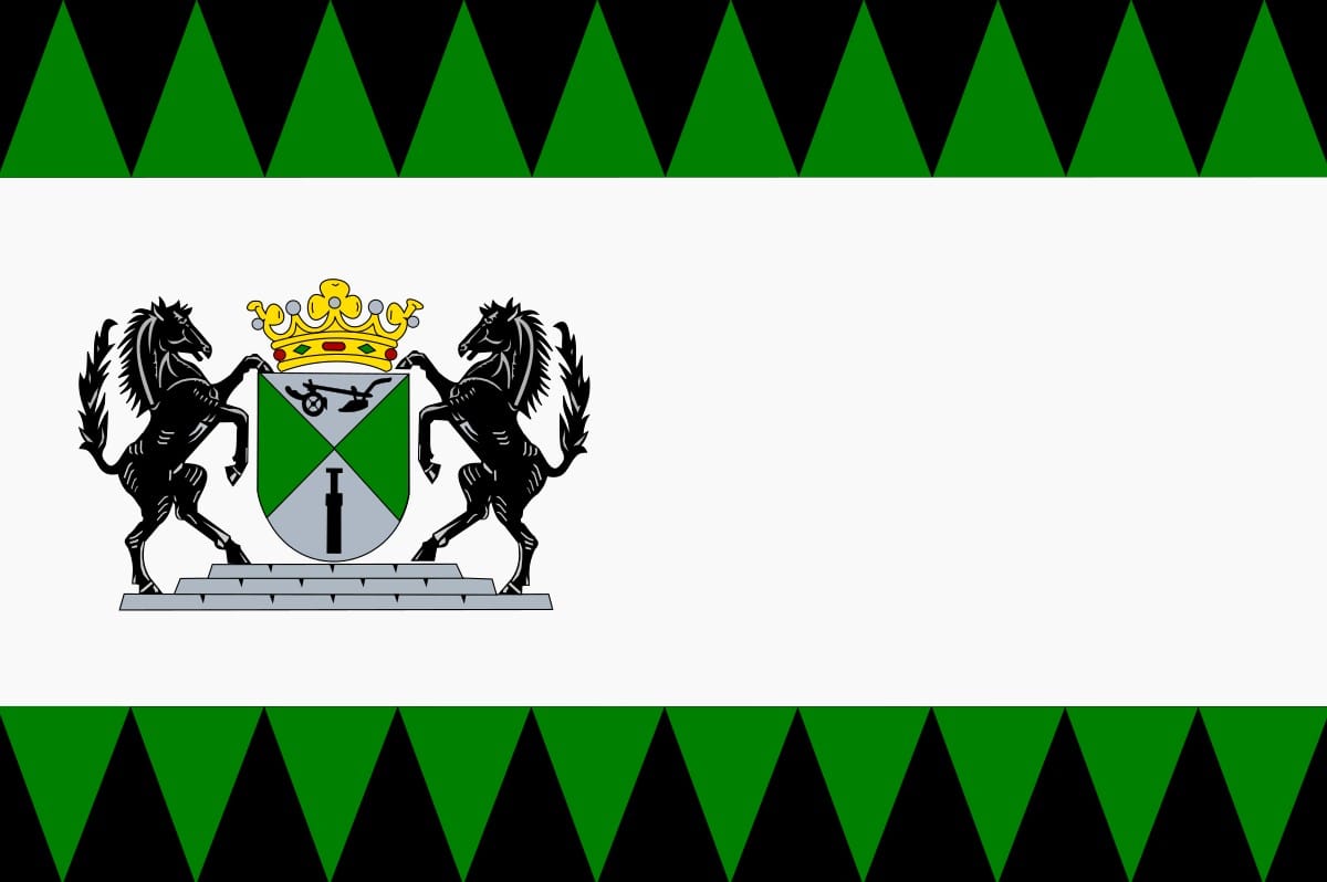 Emmen vlag