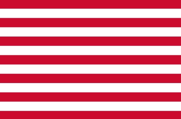 Goes vlag