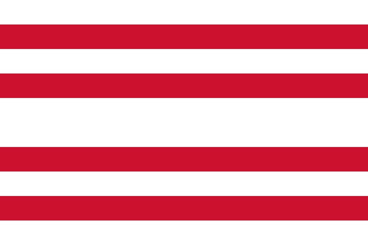 Gorinchem vlag