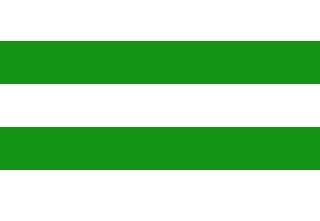 Hasselt vlag