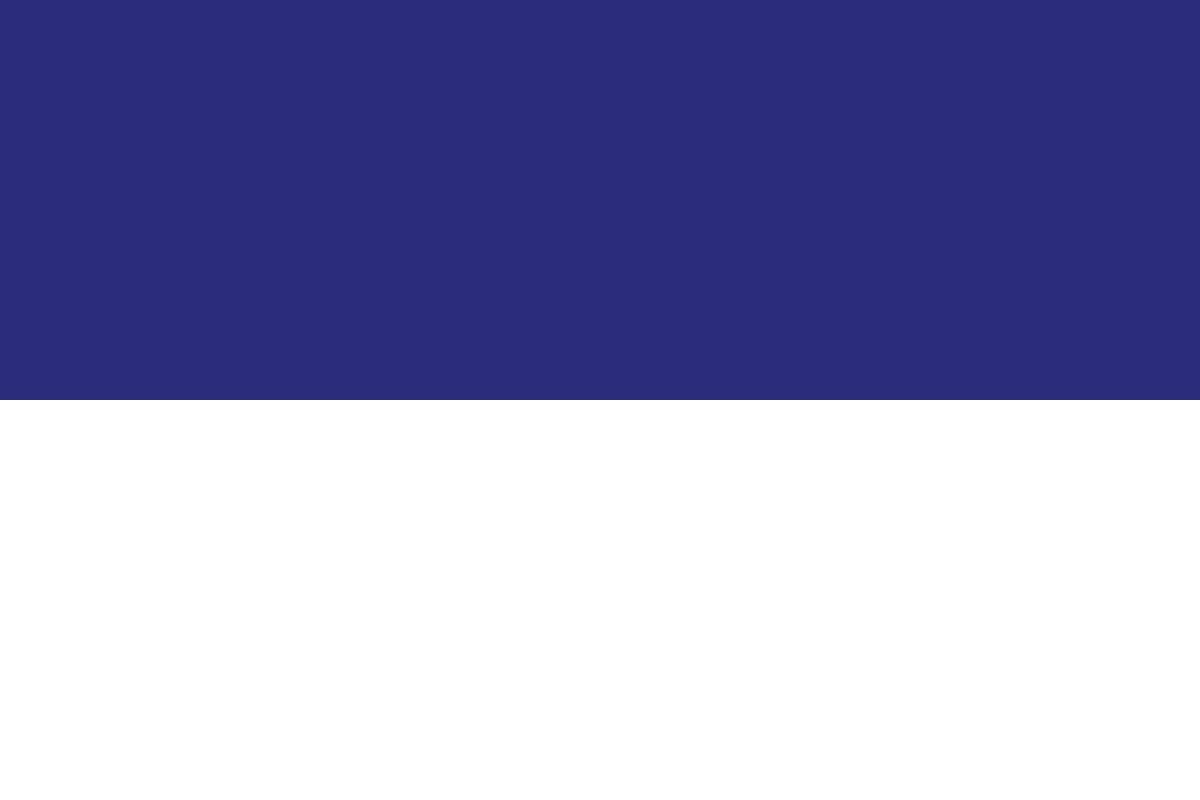 Hoogeveen vlag