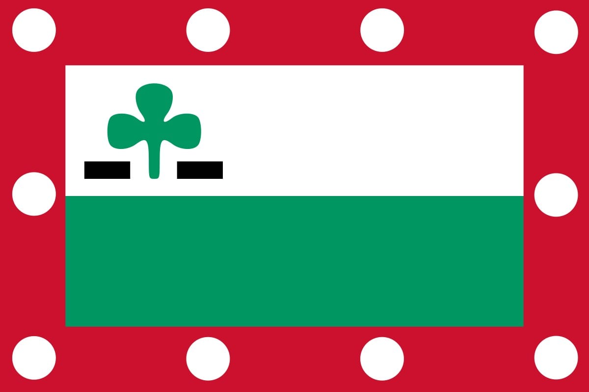Meppel vlag