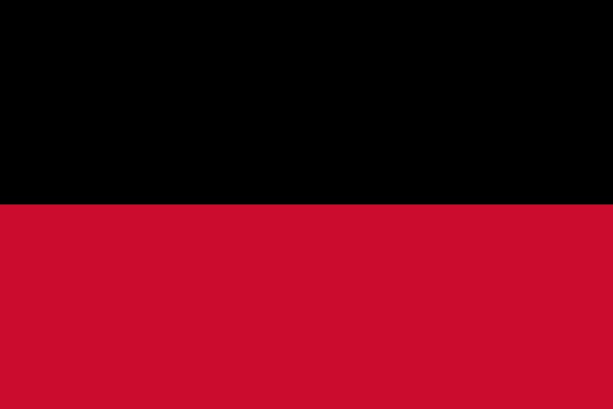 Nijmegen vlag