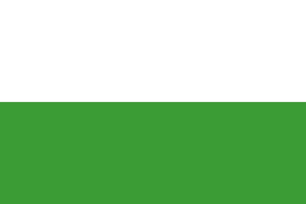 Ridderkerk vlag