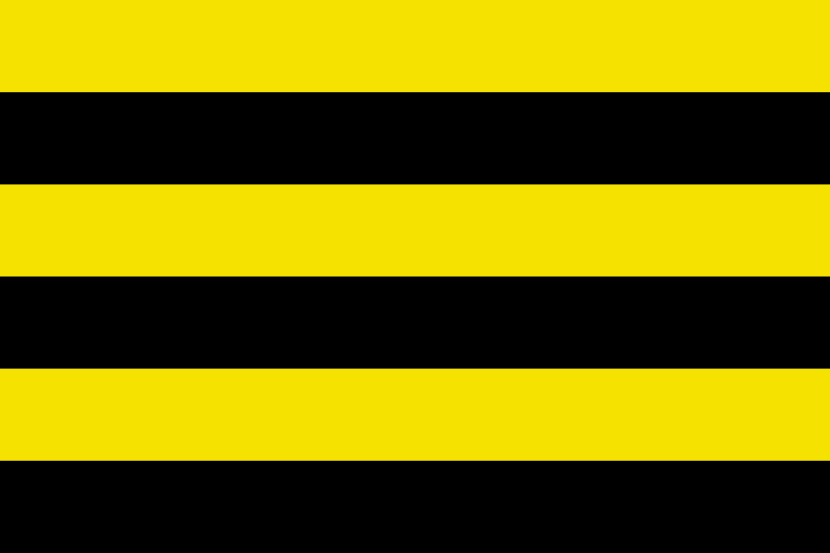 Schiedam vlag
