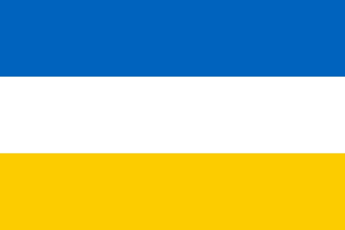 Spijkenisse vlag