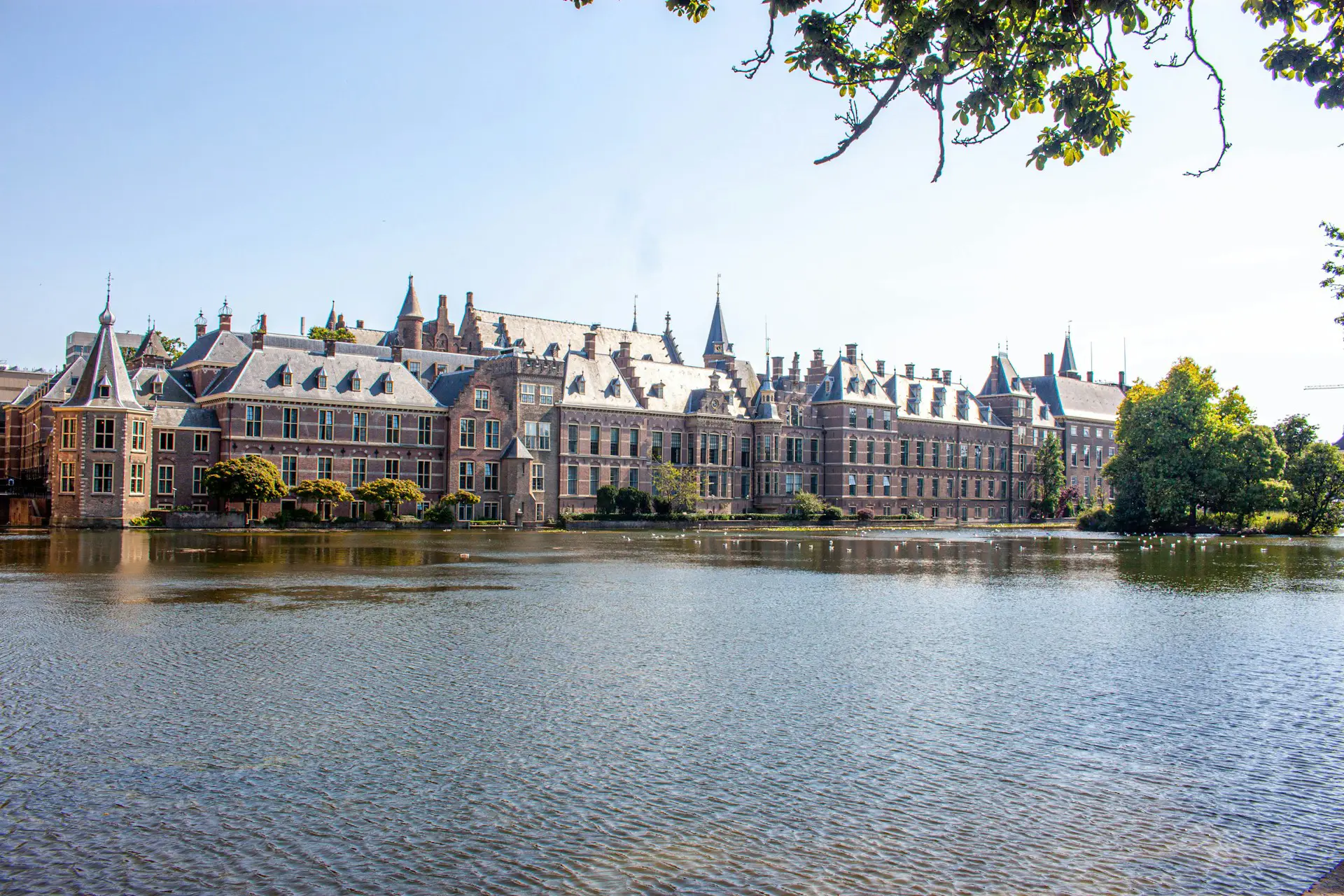 Verhuisbedrijf Den Haag