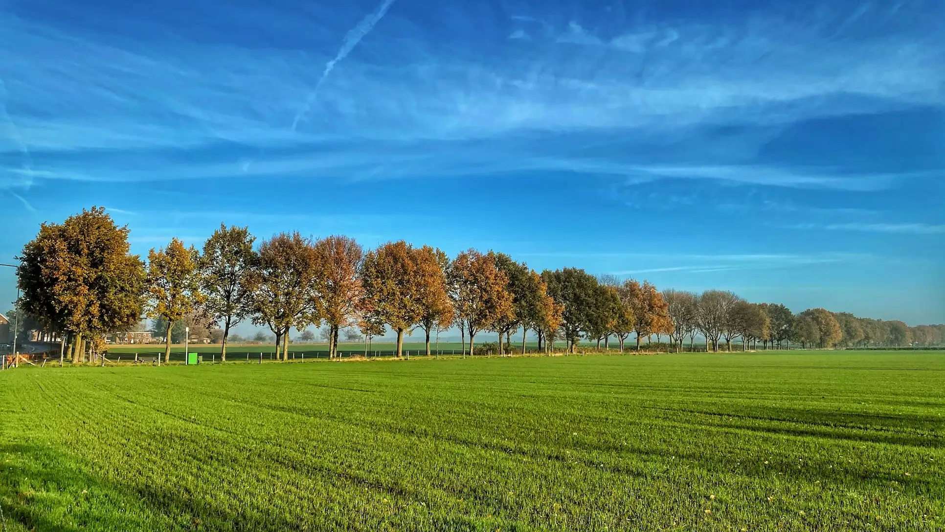 Verhuisbedrijf Limburg