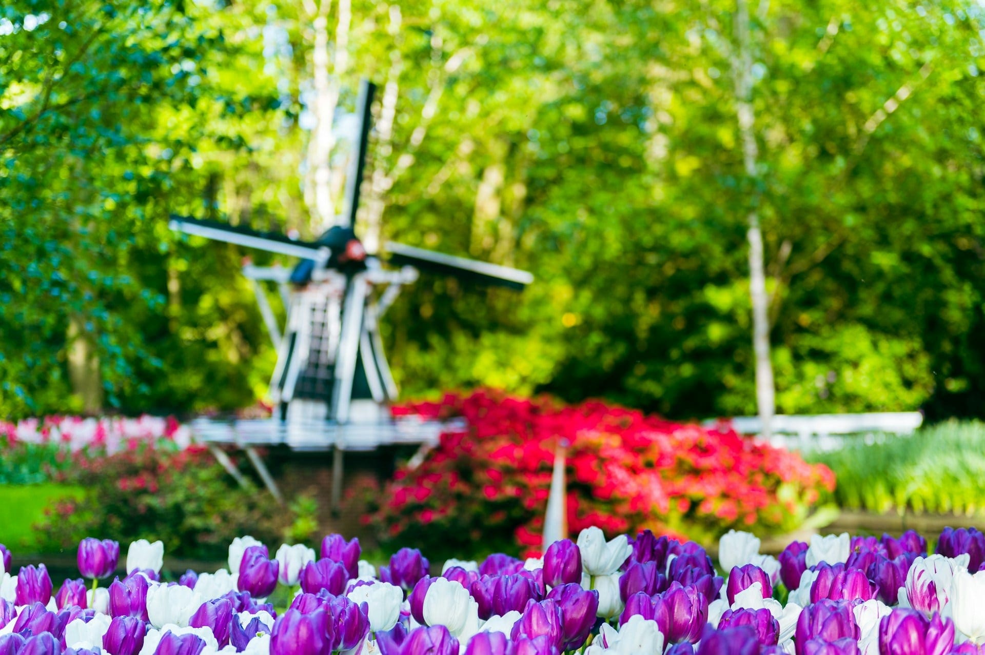 Verhuisbedrijf Lisse