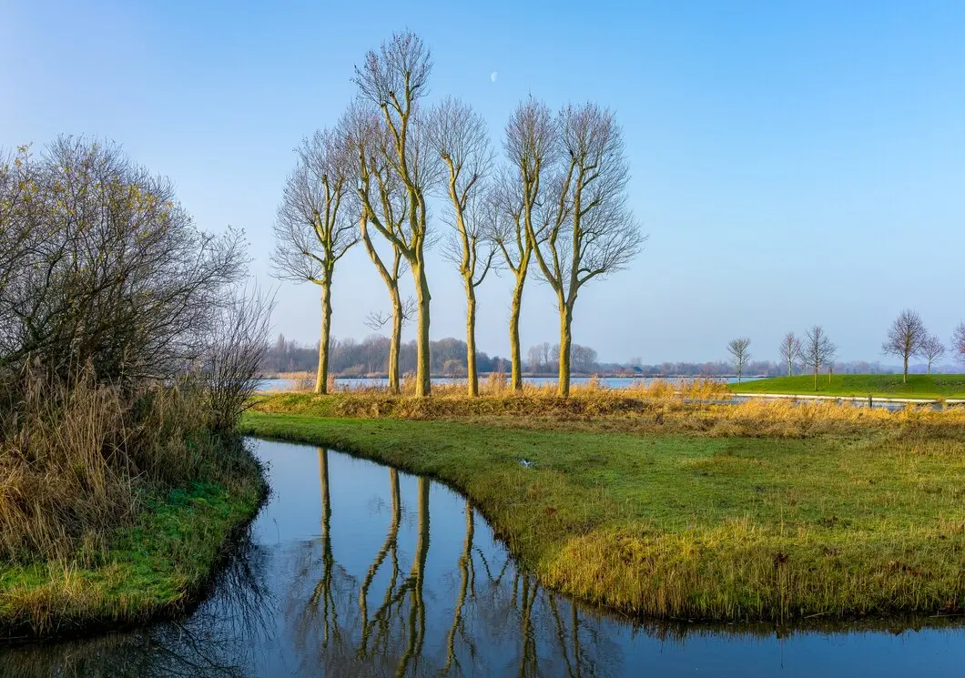 Verhuisbedrijf Roelofarendsveen