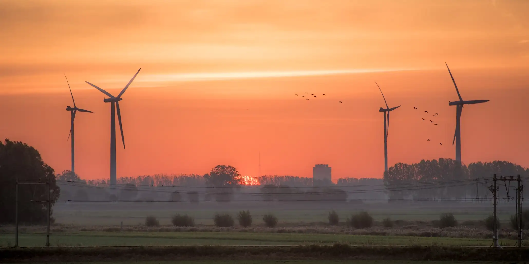 Verhuisbedrijf Zevenbergen