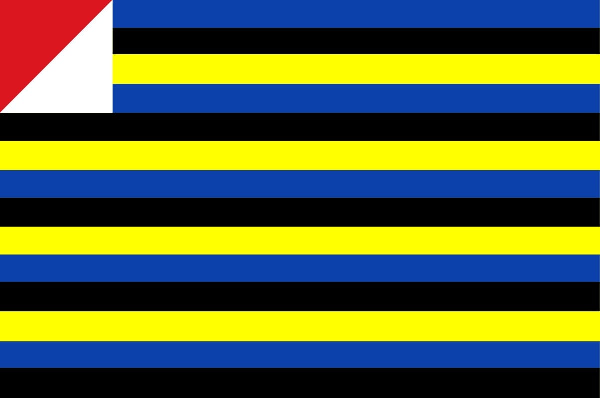 Zaandam vlag