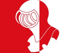 Helmond vlag