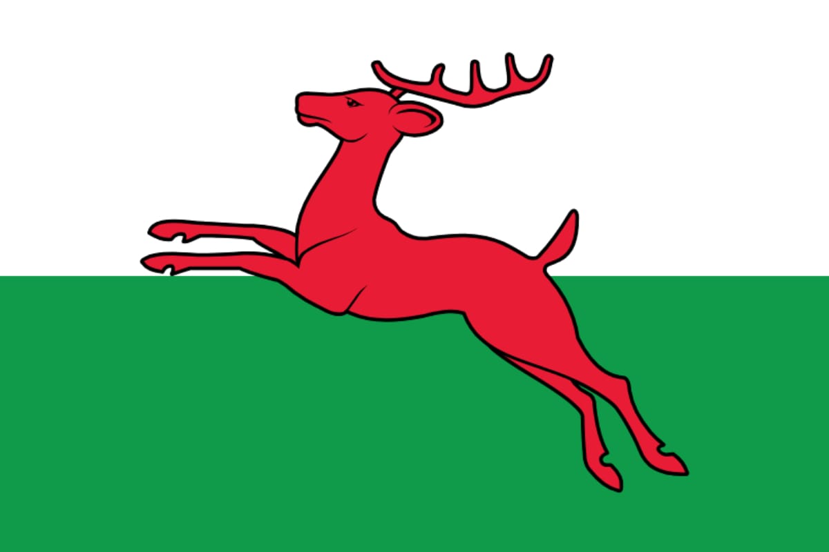 Smallingerland vlag